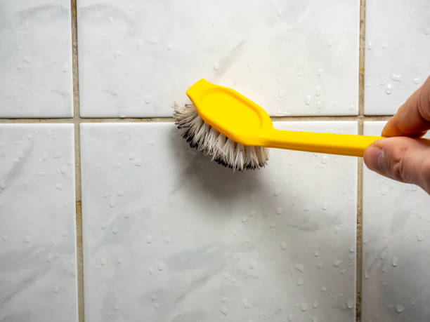 Best Mold Testing  in Rock Island, WA