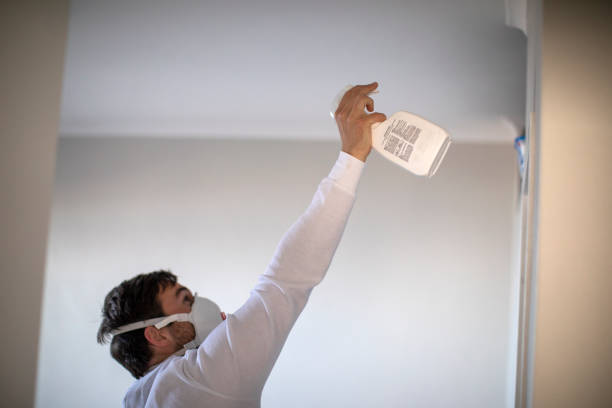 Best Local Mold Removal Service  in Rock Island, WA