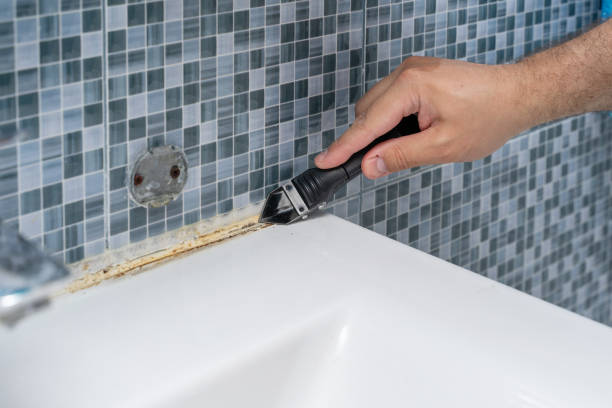 Best Toxic Mold Removal  in Rock Island, WA